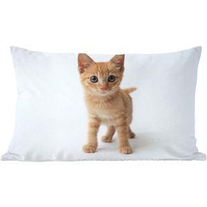 Sierkussen Katten voor binnen - Klein rood katje - 50x30 cm - rechthoekig binnenkussen van katoen