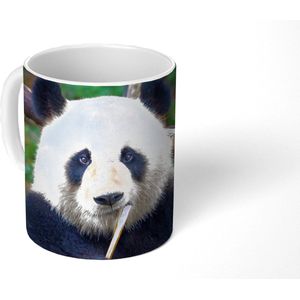 Mok - Koffiemok - Panda - Bamboe - Natuur - Mokken - 350 ML - Beker - Koffiemokken - Theemok