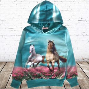 Blauwe hoodie met paarden f46 -s&C-86/92-Hoodie meisjes