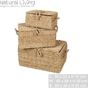 DOKOT Zeegras Opslagrand Manden met Deksel Natuurlijke Rotan Geweven Rechthoekige Organizer Box (30 x 18 x 15 cm