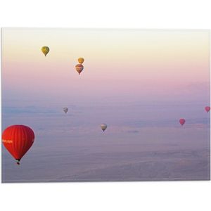 WallClassics - Vlag - Ballonvaarten in Verschillende Luchtballonnen - 40x30 cm Foto op Polyester Vlag