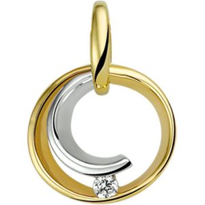 The Jewelry Collection Hanger Zirkonia - Goud