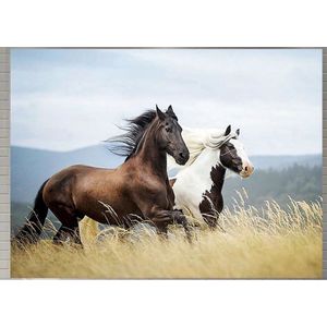 Gordijnen - paard - kant en klaar - verduisterend - 2 delen - 150x150 cm