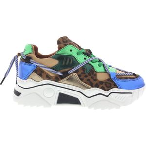 Dames Sneakers Dwrs Jupiter Leopard Green/blue Groen - Maat 37