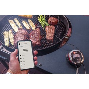 Weber iGrill 3 - Thermometer