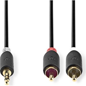 Nedis Stereo-Audiokabel - 3,5 mm Male - 2x RCA Male - Verguld - 1.00 m - Rond - Antraciet - Doos