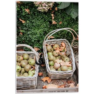 Forex - Twee Rieten Manden Vol met Groene Appels - 40x60cm Foto op Forex