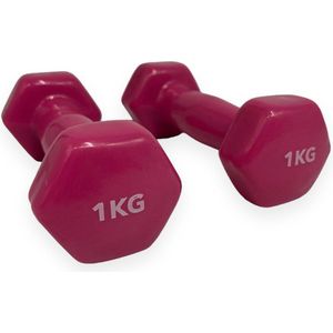 Padisport - Dumbells 1 Kg - Halter - Gewichten Set Halters - Gewichten 1 Kg - Roze - Gewichten - Dumbells - Halters - Gewichtjes 1 Kg