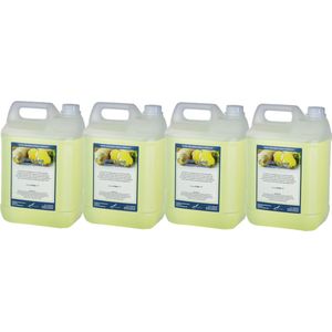 Body & Hair Fresh Ginger 5 Liter - set van 4 stuks - navulling - voordeelverpakking - 2 in 1 voor lichaam en haar.