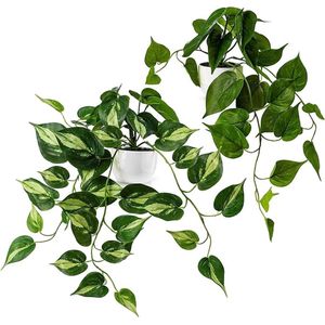 S&Dshopline® Set van 2 kunstklimopplanten (33 cm) in witte keramiek potten: kunstplanten zoals ze echt zijn | Kunstklimop in een pot | Kunstplant in pot | Kunstmatige hangplant (klimop)