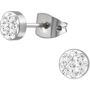 Aramat jewels ® - Titanium oorbellen rond titanium transparant zilverkleurig 5mm