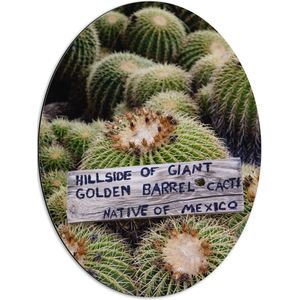 Dibond Ovaal - Cactussen - Planten - Tekst - Bordje - Hout - Kleuren - 51x68 cm Foto op Ovaal (Met Ophangsysteem)