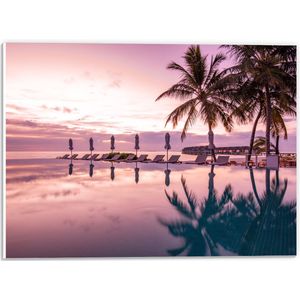 PVC Schuimplaat- Luxe Resort met Strandbedjes met Palmbomen - 40x30 cm Foto op PVC Schuimplaat