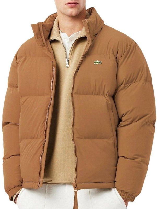 Lacoste - Winterjas - Licht Bruin - Heren