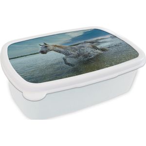Broodtrommel Wit - Lunchbox - Brooddoos - Paard - Water - Druppel - 18x12x6 cm - Volwassenen