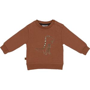 Frogs and Dogs - Dino Park Sweater Dinosaur - - Maat 50 -