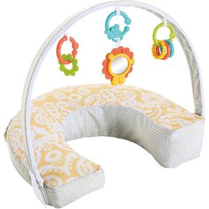 Fisher-Price Perfecte Positie 4 in 1 - Voedingskussen