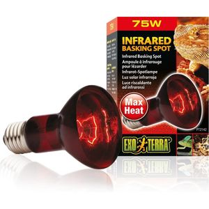 Exo Terra - Warmtelamp - Reptielen - Ex Infrarood Warmtespot R20 75w - 6,5x6,5x10cm - 1st