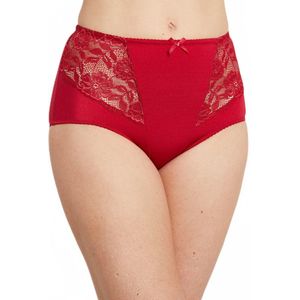 Sheer slip van microvezel en kant