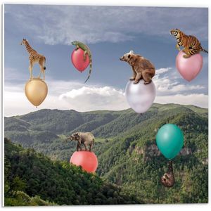 Forex - Wilde Dieren op Ballonnen boven Landschap - 50x50cm Foto op Forex