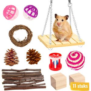 Knaagdieren Speelgoed Pakket - 11 stuks - Knaagdieren Set - Hamster Speelgoed - Cavia speelgoed - Speeltjes