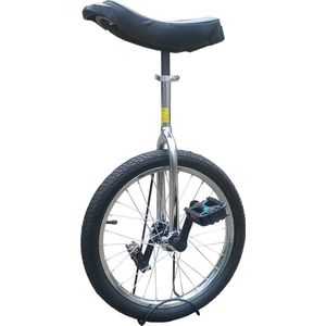 Funsport Eenwieler 18 inch Chroom