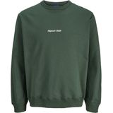 Jack & Jones - Jornorrebro Emb Sweat Crew Noos - Sweater - Sycamore