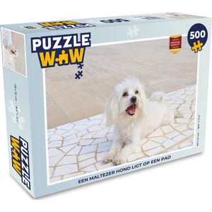 Puzzel Een Maltezer hond ligt op een pad - Legpuzzel - Puzzel 500 stukjes