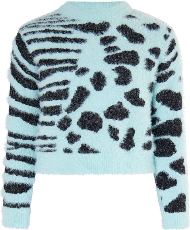 myMo KIDS - Trui - Mintgroen - Dierenprint