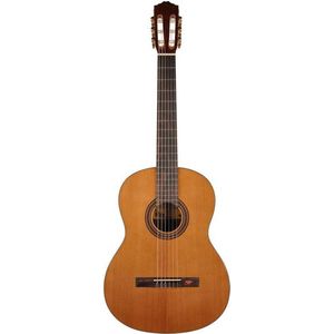 Klassieke gitaar 4/4 Salvador Cortez Student Series CC-15
