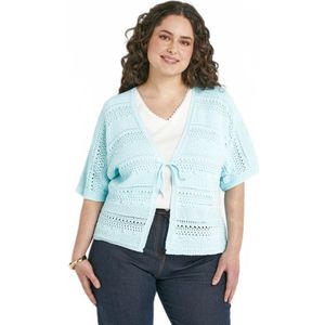 Opengewerkt V-hals vest met korte mouwen en striksluiting