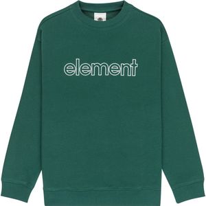 Element Central Lowcase Sweatshirt Groen 14 Years Jongens