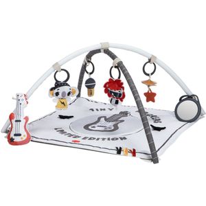 Tiny Love Rock With Me Gymini - Tiny Rockers - Vanaf de geboorte tot 4 jaar oud