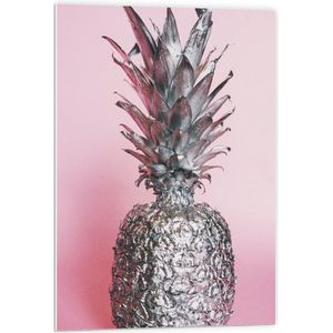 Forex - Zilveren Ananas  met Roze Achtergrond - 60x90cm Foto op Forex