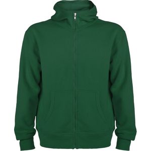 Groen sweatshirt met rits en capuchon model Montblanc merk Roly maat XL