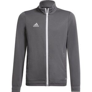 adidas Performance Entrada 22 Trainingsjack - Kinderen - Grijs- 116