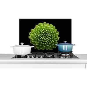 Spatscherm keuken 70x50 cm - Kookplaat achterwand Een groene chrysanthemum bloem op zwarte achtergrond - Muurbeschermer - Spatwand fornuis - Hoogwaardig aluminium