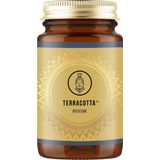 Terracotta - TCM ROCKSTAR - Paddenstoelen Combi - 180 Caps - Agaricus Blazei Murill en Cordyceps Sinensis Extracten