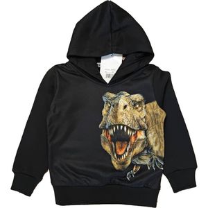 Kinder sweater trui met Dino Dinosaurus full color print | Capuchon | Kleur zwart | Maat 92 | Sweatvest | T-rex | Hoodie | Supermooi!