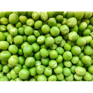 Pea protein powder | Erwten proteine poeder | Biologische | 250 gram