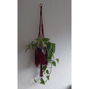 Cafuné - Macramé Pakket-Plantenhanger ""Fringe"" – Bordeaux– 95 cm – DIY Kit – Inclusief Macramé Koord, Houten Ring & Kralen – Perfect voor Beginners & Boho Interieur -Macrame Touw - Met Instructievideo - Complete set- Cadeau Idee - Plantenhanger maken
