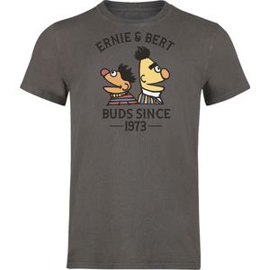 Sesame Street Ernie & Bert - Bros since 1973 Heren T-shirt - grijs - S