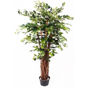 Emerald - Kunstplant Ficus Benjamina Liana Deluxe 175cm - Kunstplanten voor binnen