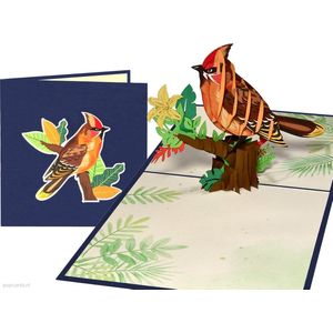 Popcards popupkaarten – Rode kardinaal Zangvogel Vogel Siervogel Natuur Vriendschap Verjaardag Trouw Huweijk Felicitatie pop-up kaart 3D wenskaart