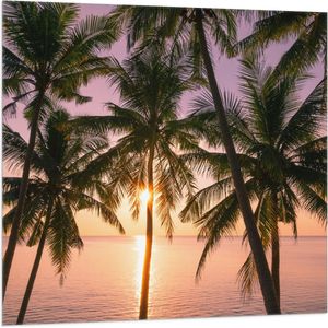 Vlag - Tropische Palmbomen voor Oceaan en Zonsondergang - 100x100 cm Foto op Polyester Vlag