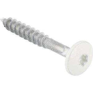 Schroef voor Trespa - rvs - wit - 4.8 x 38 mm (10 stuks)