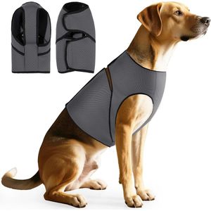 Bad- en lichaamsborstel - Lichaamsexfoliatiemassageborstel - Natuurlijk sisal + beukenhout - Verbetert de bloedsomloop - Diepreinigende scrub - Waterdichte en schimmelwerende lichaamsverzorgingsborstel