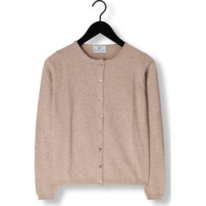 RESORT FINEST Lucca Truien & vesten Dames - Sweater - Hoodie - Vest- Taupe - Maat XL