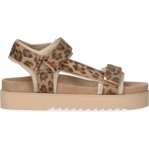 Maruti - Beau Sandalen Bruin - Leopard Brown - 41