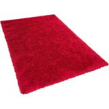 CIDE - Shaggy vloerkleed - Rood - 140 x 200 cm - Polyester